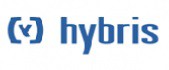 Hybris Platform: E-Commerce Today